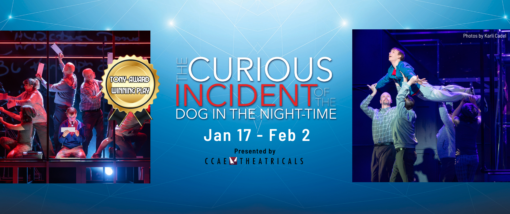 text reads curious incident tony-award winning play